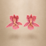 Orquideas